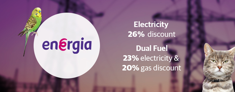 Energia jan large