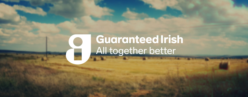Guaranteed irish large