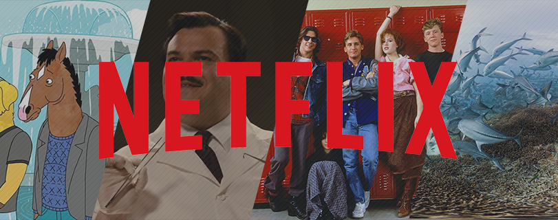 Netflix bernie large